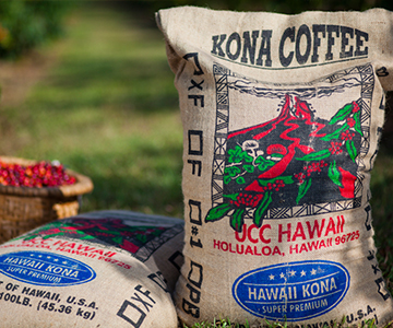 UCC DRIP POD ハワイコナブレンド 12P | UCC ドリップポッド ( DRIP