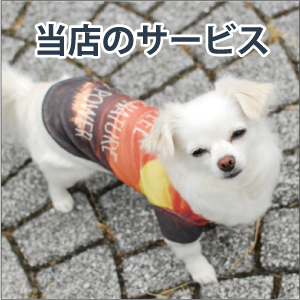 犬服型紙・犬服教室のセレブドッグ直営ECショップ / MPダックスフンド