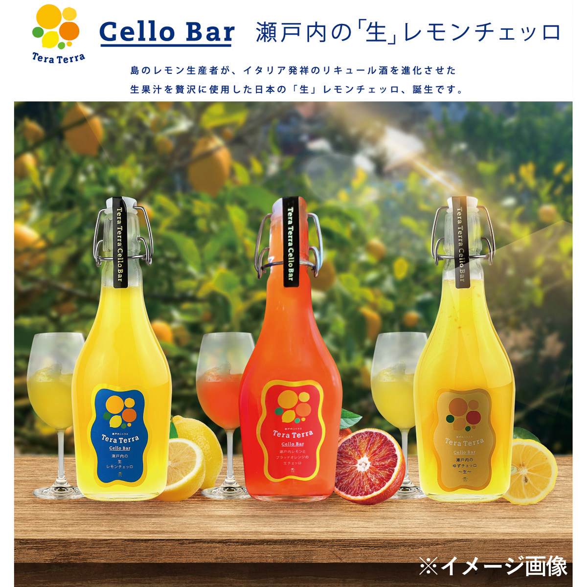 瀬戸内の生レモンチェッロ 〔500ml×2〕: 産直お取り寄せNセレクト