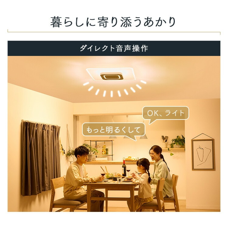 LEDシーリングライト 音声操作 パネルライト 12畳 CEK-A12DLPSV ホワイト