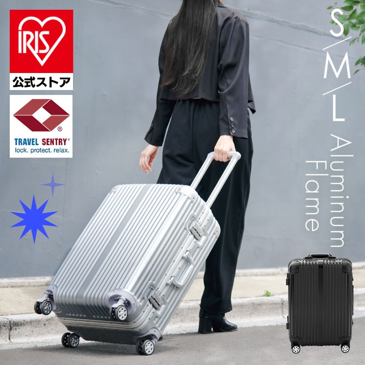 スーツケース 機内持ち込み可能 Mサイズ 79L シルバー HY15054