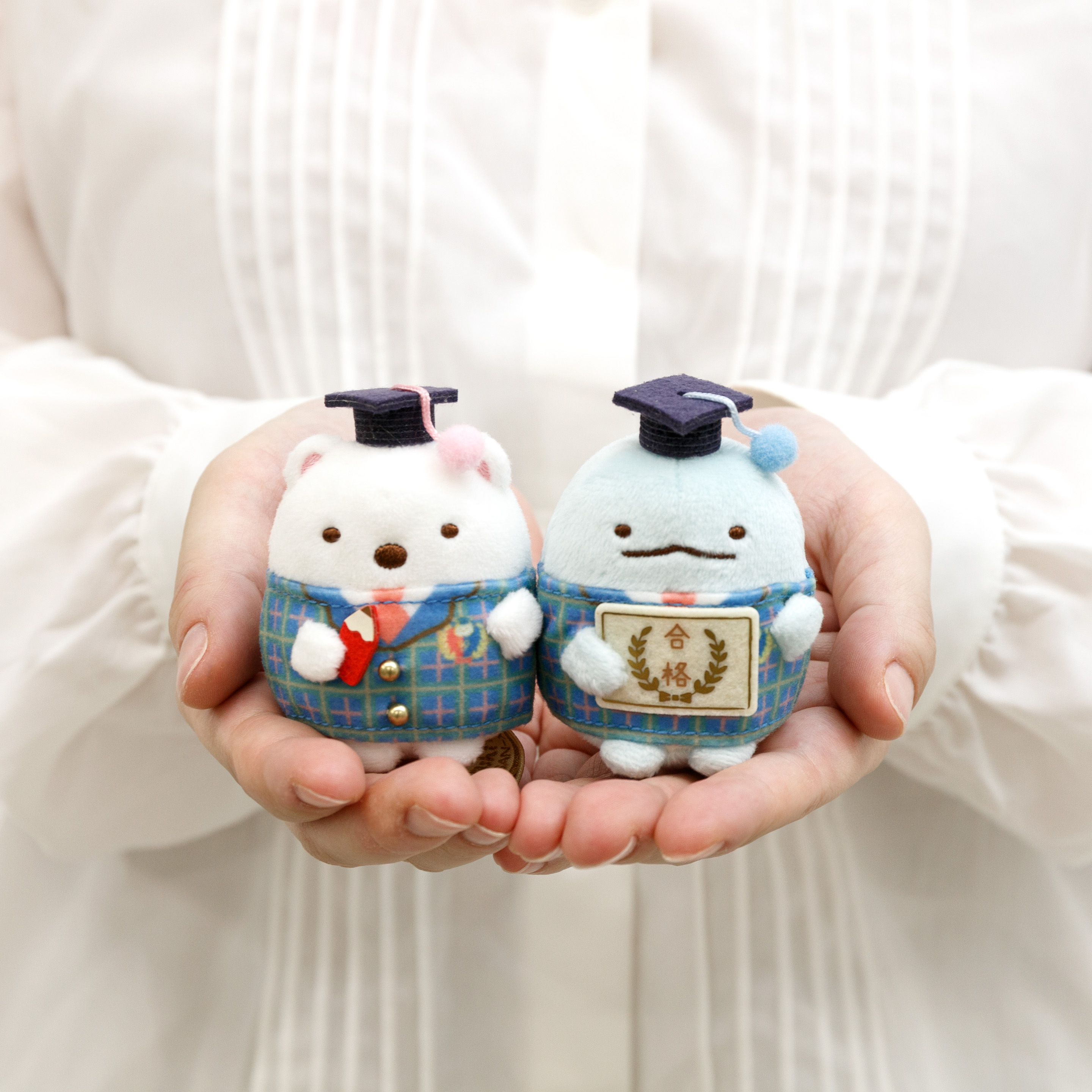 すみっコぐらし検定2025受験者限定グッズ てのりぬいぐるみセット