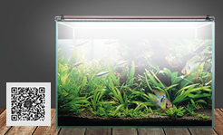 ZETLIGHT｜LSS Laboratory