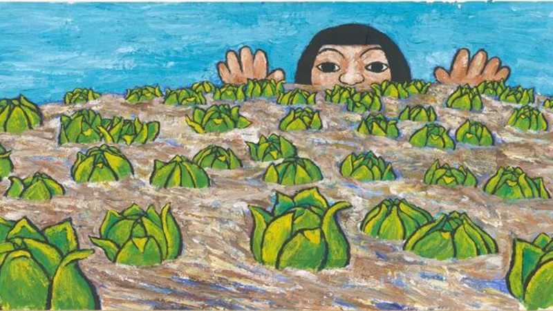 鉢＆田島征三・絵本と木の実の美術館