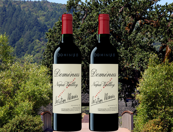 ドミナス 2016年 750ml 赤ワイン ドミナス 2016年 750ml 赤ワイン 2016