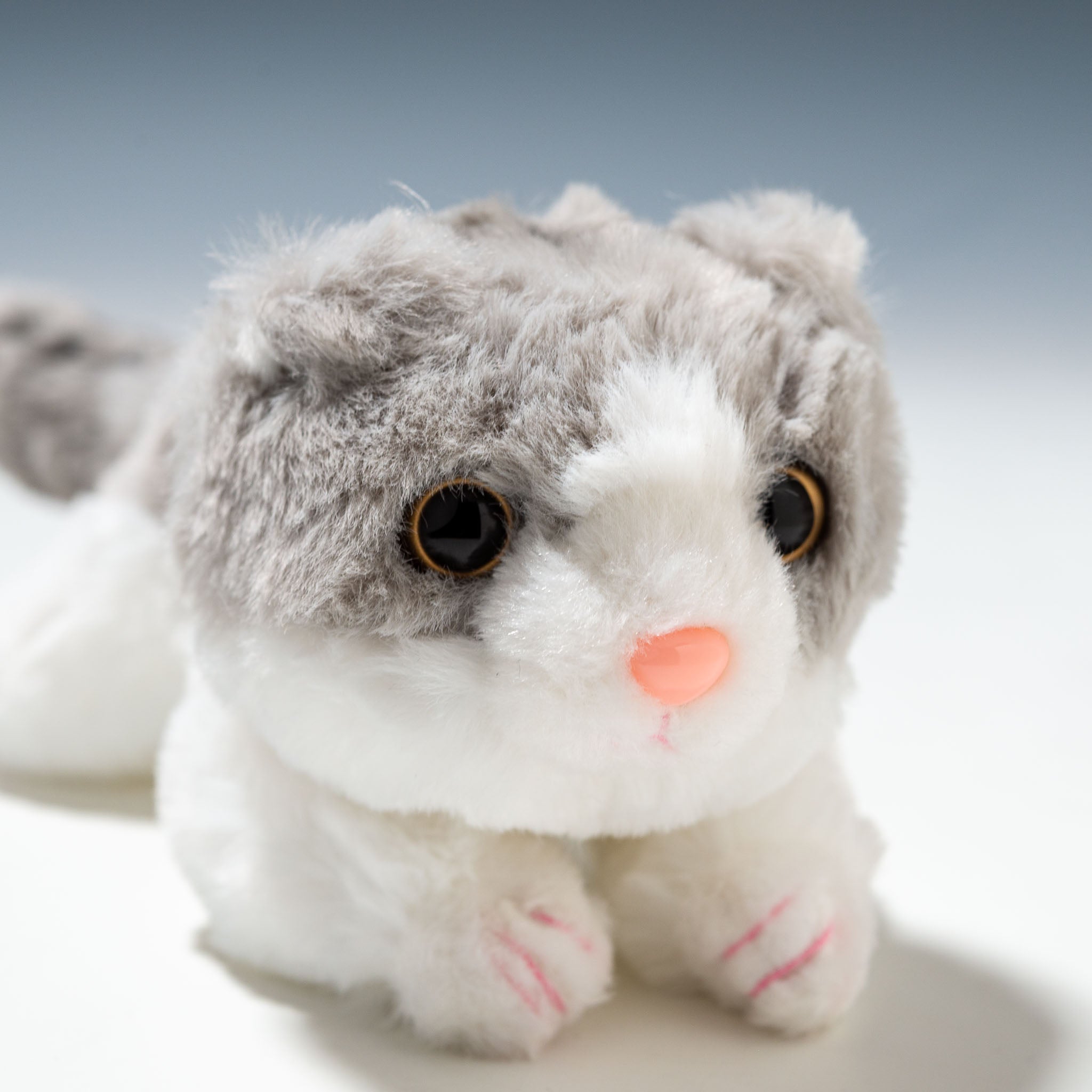 にゃんごすたー ぬいぐるみ マスコット にゃんごすたー ぬいぐるみ