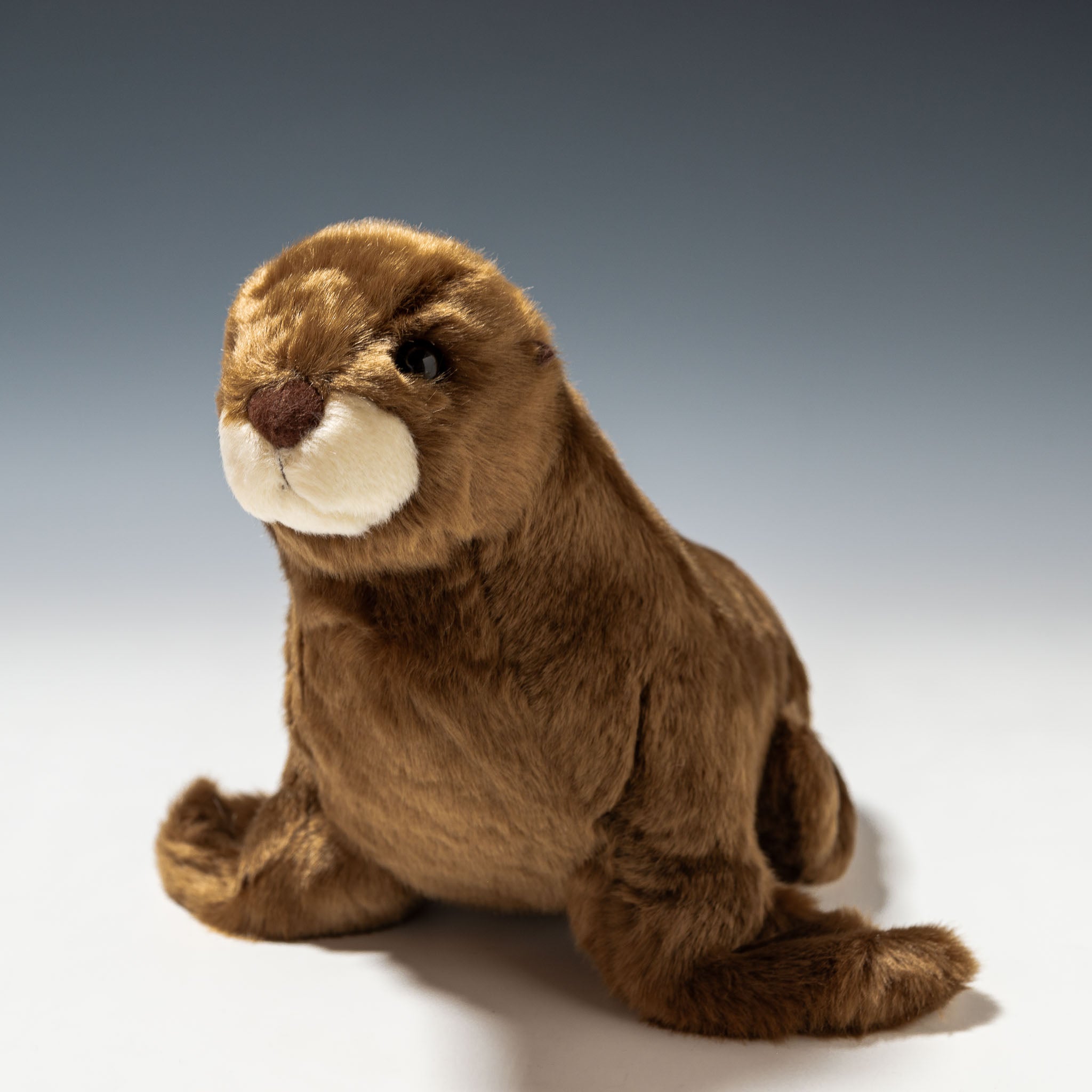 CUTE キュート販売 ぬいぐるみ マリンコレクション アシカ M M0343