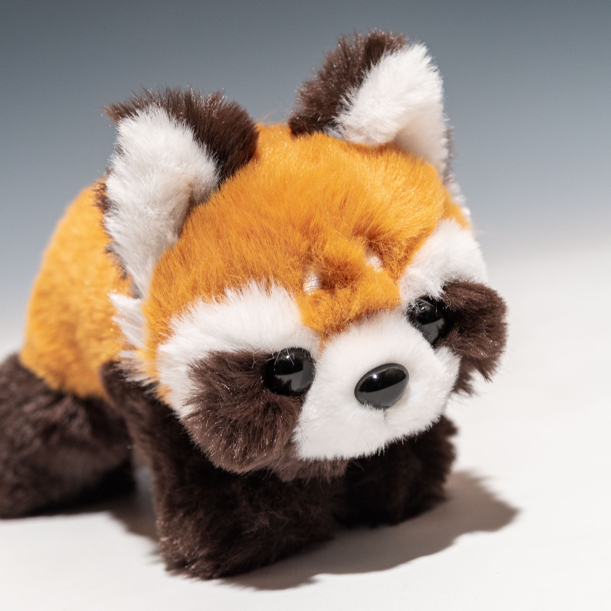 CUTE キュート販売 ぬいぐるみ くたくたレッサーパンダ SS Z0325