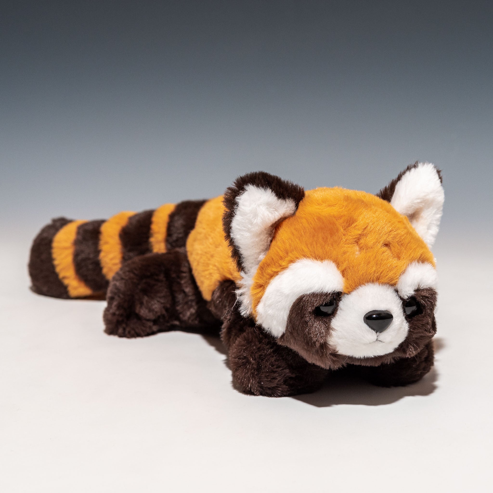 CUTE キュート販売 ぬいぐるみ くたくたレッサーパンダ S Z0326