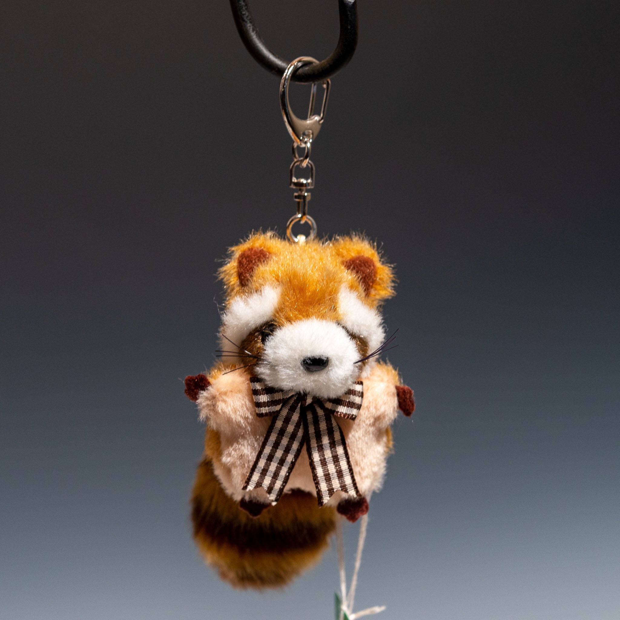 たけのこ TAKENOKO ぬいぐるみ ミニミニキッズ レッサーパンダ 茶