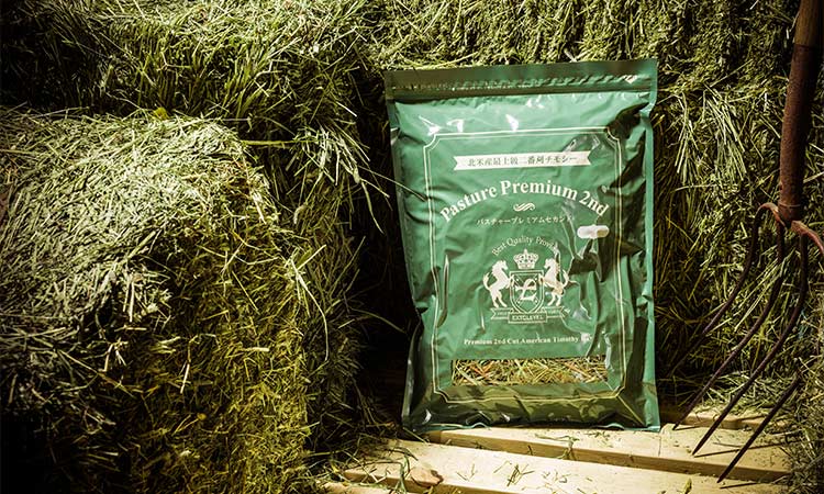 令和7年産] PASTURE PREMIUM 2ND 北米産最上級2番刈チモシー牧草 500g
