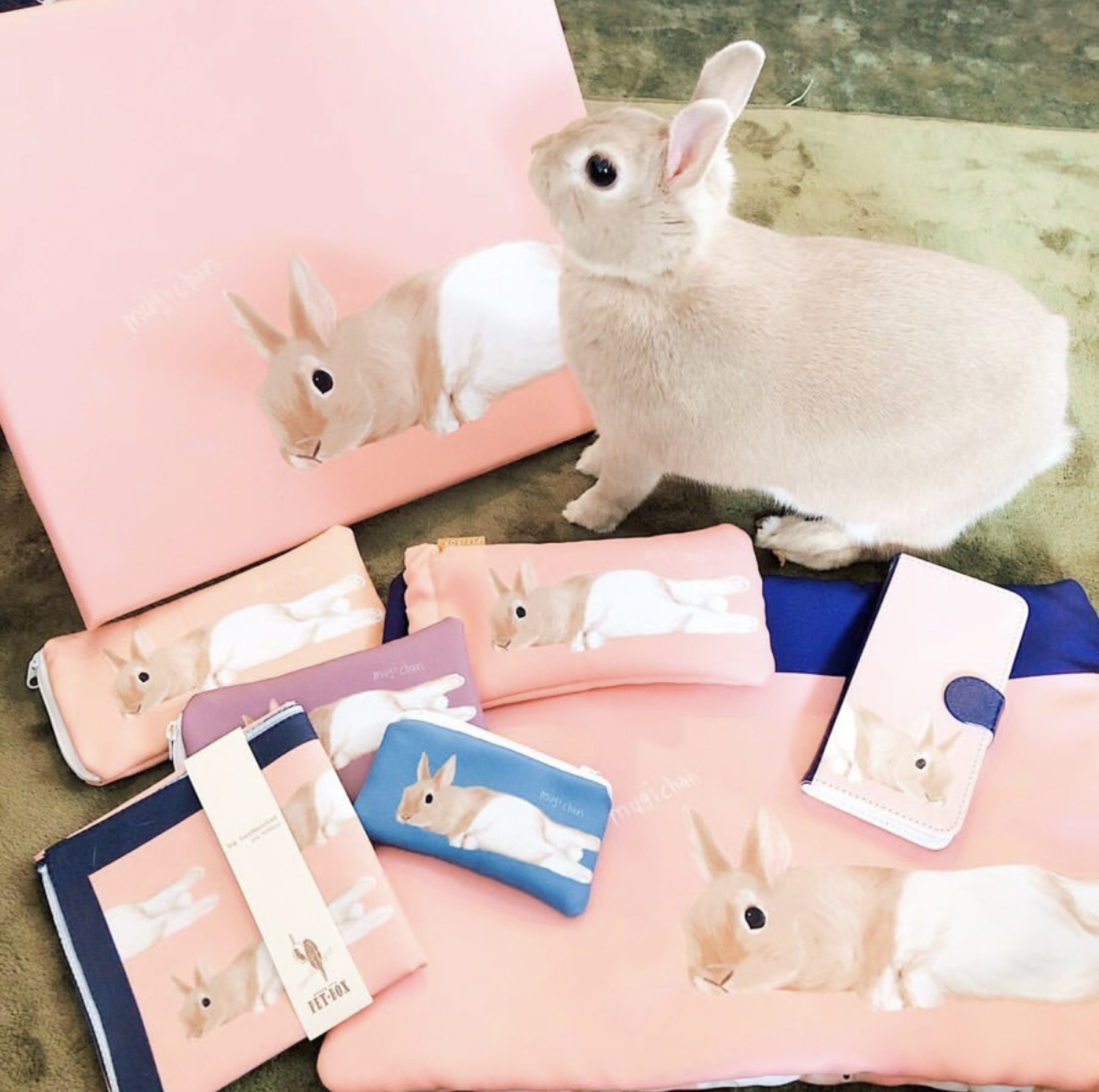 ネザーランドドワーフ むぎちゃんの Famille うちの子グッズ | Famille