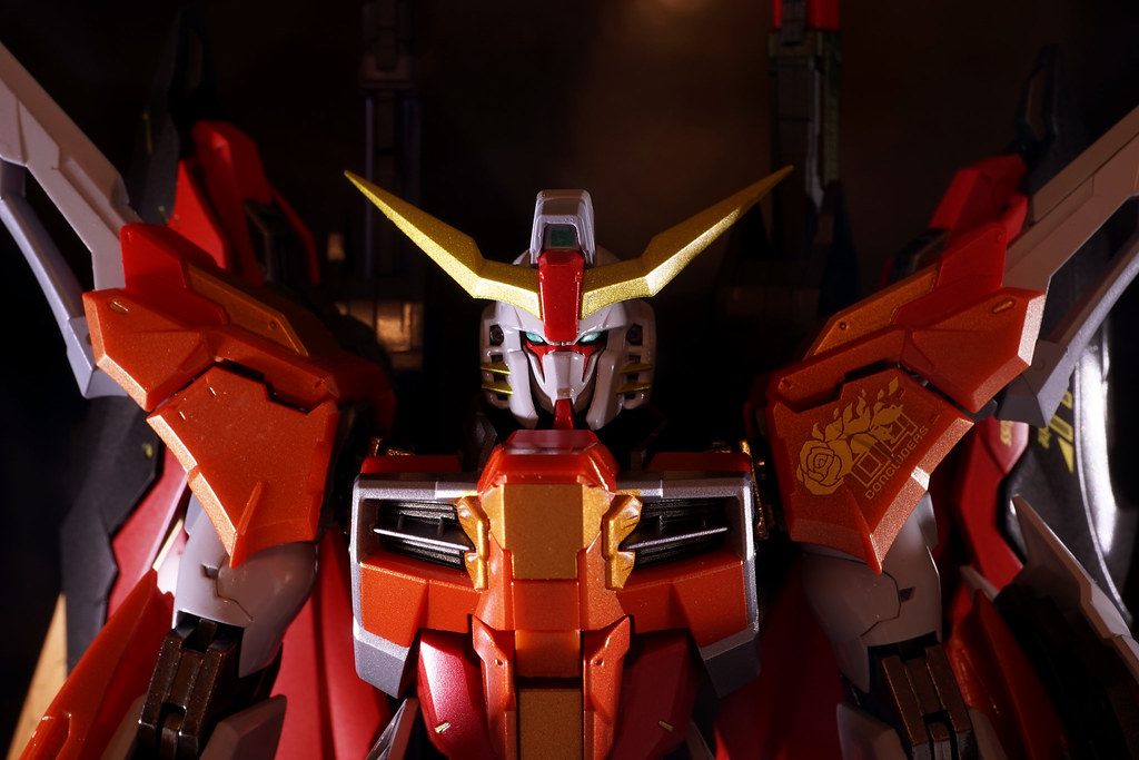 METAL BUILD デスティニーガンダム(ハイネ機) | Destiny Gundam Heine