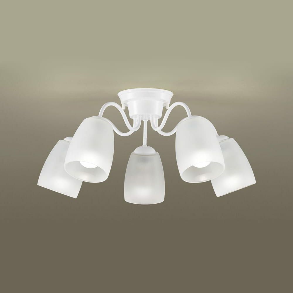 000000002342-01.jpg?t=