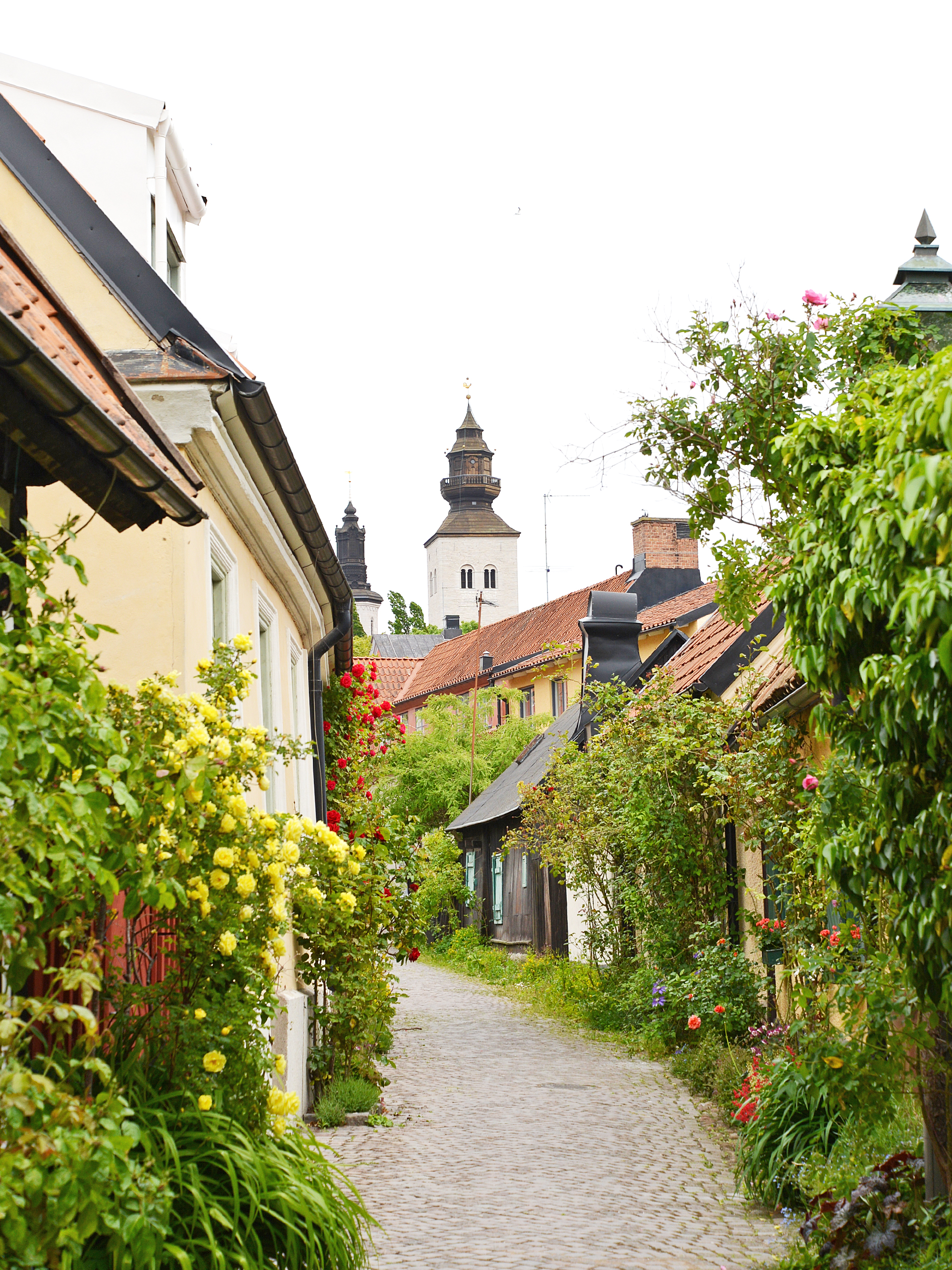 北欧フィーカ｜スウェーデン・ゴットランド・ヴィスビーの旅2｜バルト