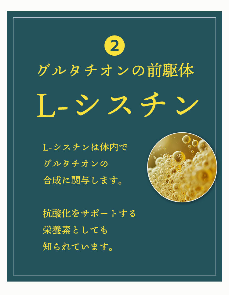 花神 - Kajin - 犬と猫の腎臓に配慮した乳酸菌&冬虫夏草サプリ