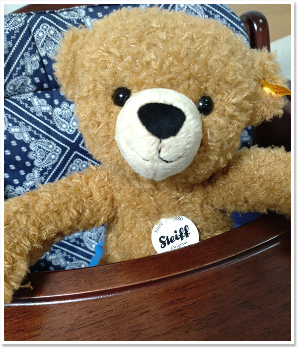 シュタイフ ロージー ラビット＆ベイビー バニー 23cm EAN683862