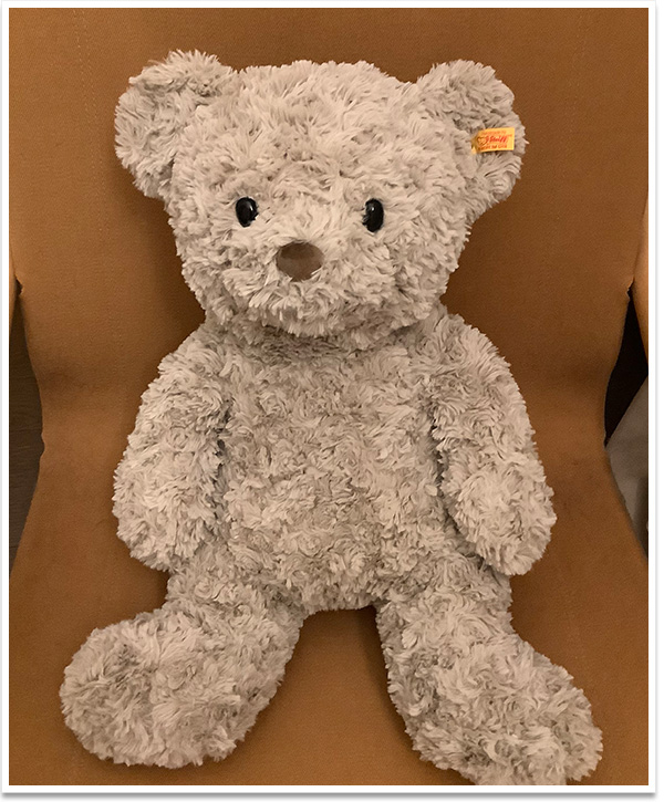 シュタイフ テディベア フィン 18cm EAN111372