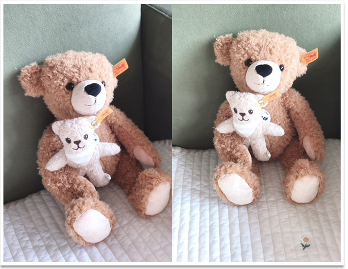 シュタイフ テディベアクリスマスローズ 30cm EAN036736