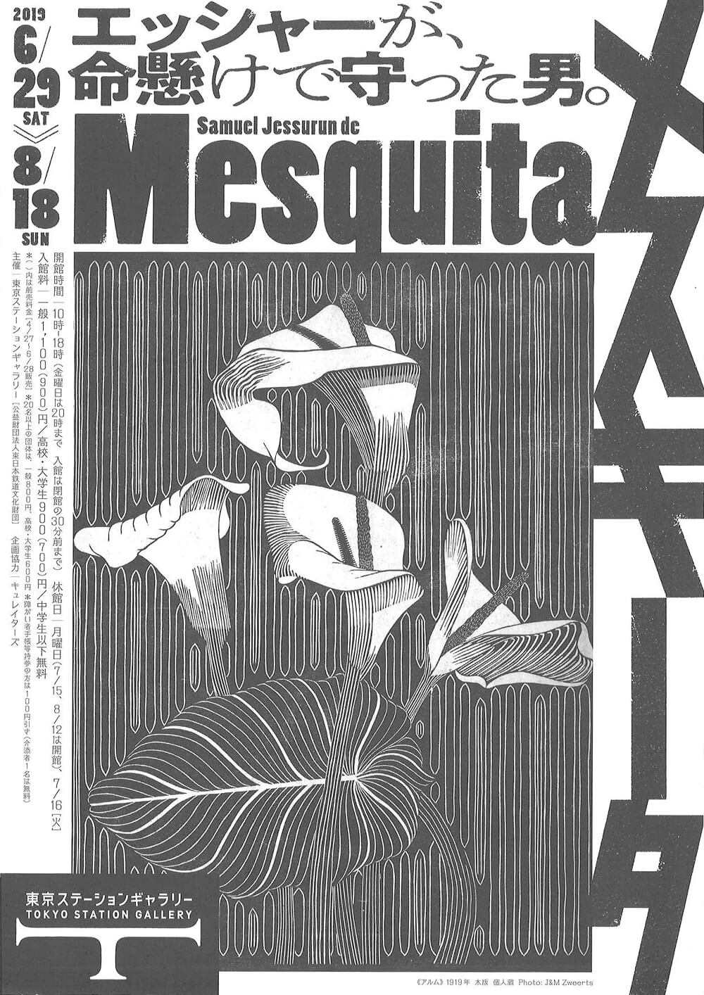 メスキータ展 2 | FAJP / フライヤー・チラシのグラフィックデザイン