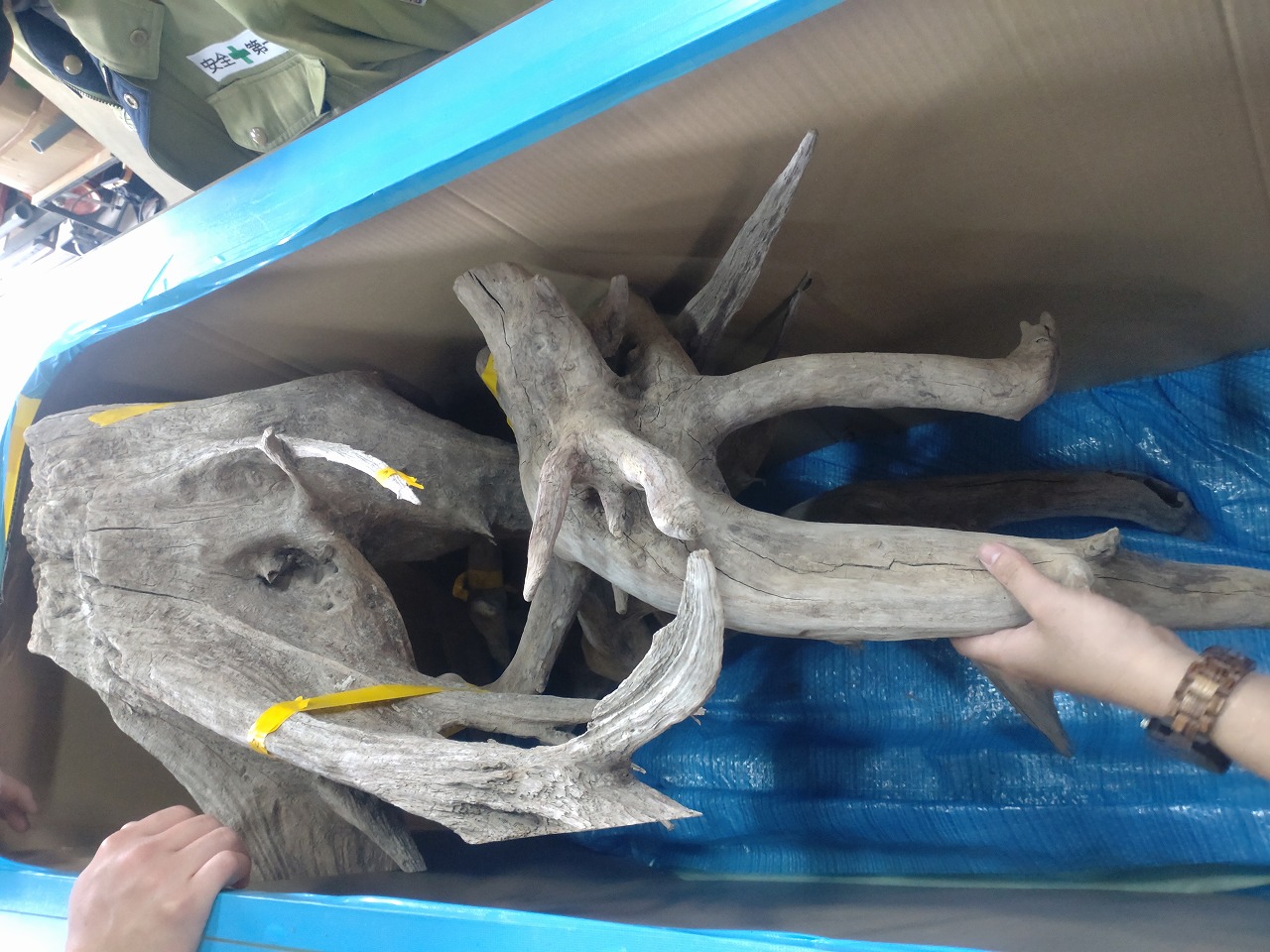 直接手渡し（福岡県福岡市） Oase バイオーブ アクリル水槽