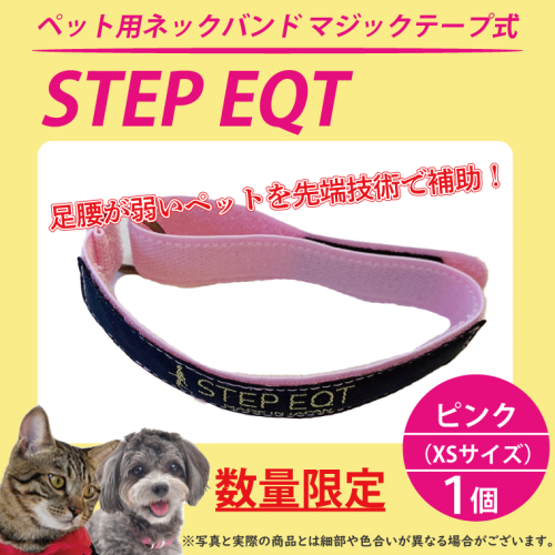 STEP EQT 歩けるくん インナー 体幹バランス 【公式通販】 歩けるくん