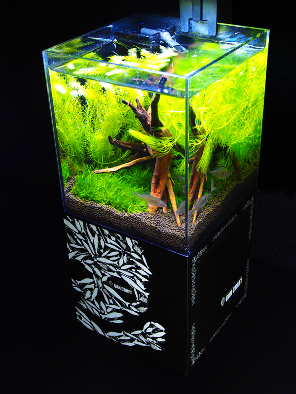 GAN CRAFT [HIGH POTENTIAL ORIGINAL LURES]