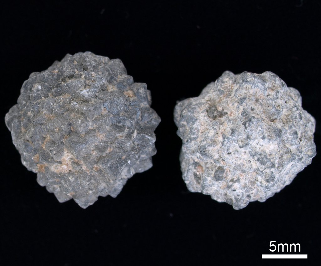 金平糖石（自然砒）（参考） 金平糖石（自然砒）（参考） 金平糖石