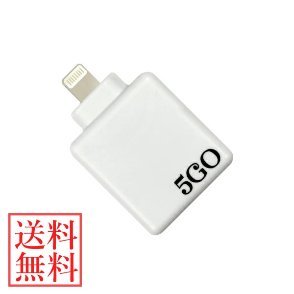 19世紀ロマン主義 アンティーク風ペン画｜貴婦人とバイオリン奏者 G