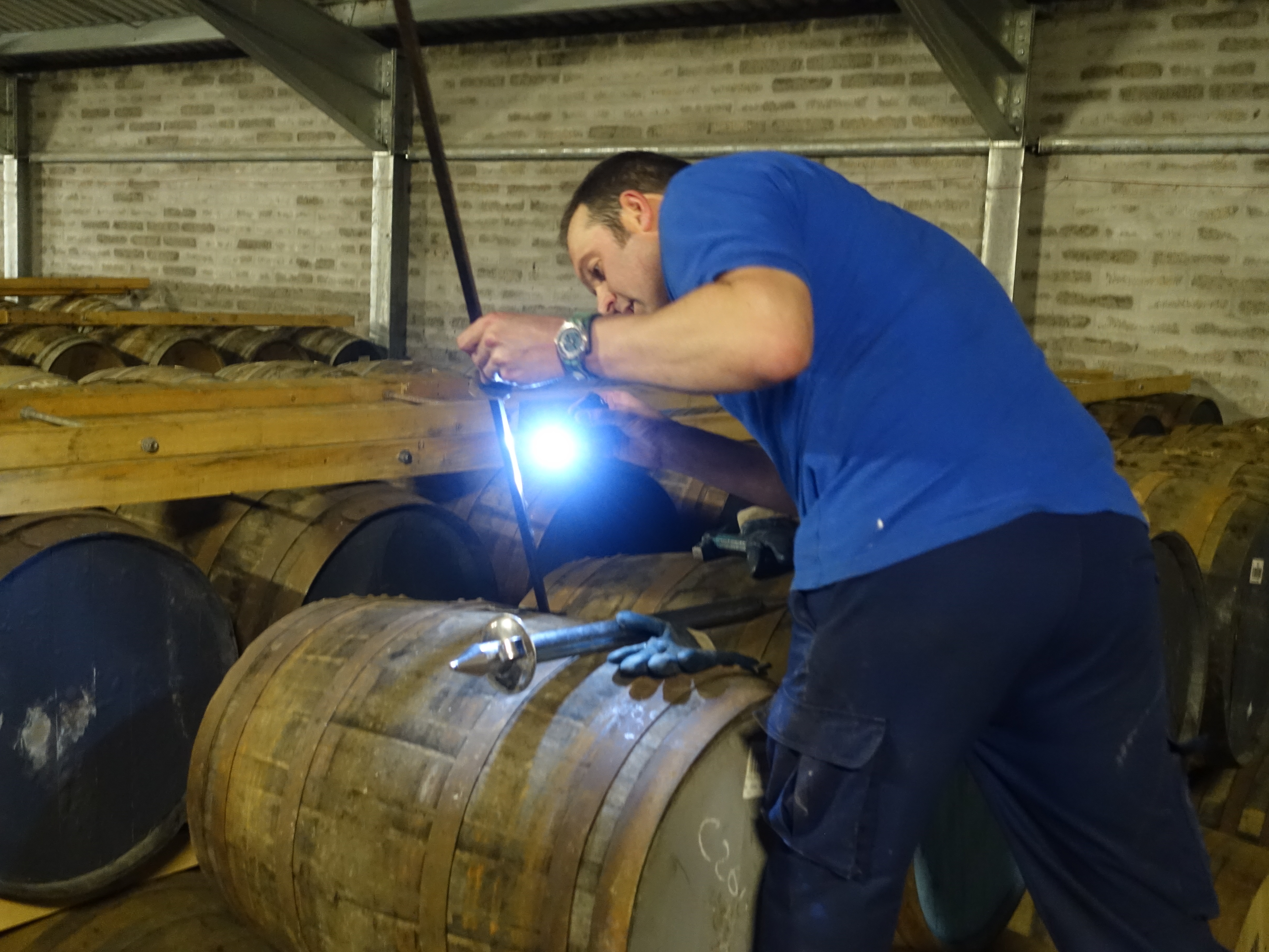 シグナトリー フェッターケアン2006 11年 バーボンバレル シグナトリー