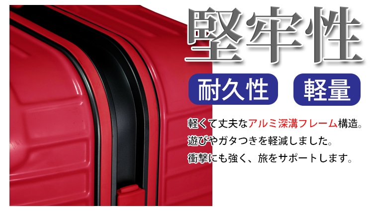 BALENO EXE バレノエグゼ ビジネストローリーケース スーツケース