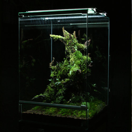 ZERO PLANTS / Foresta ミスティングシステム・ミストシステムの