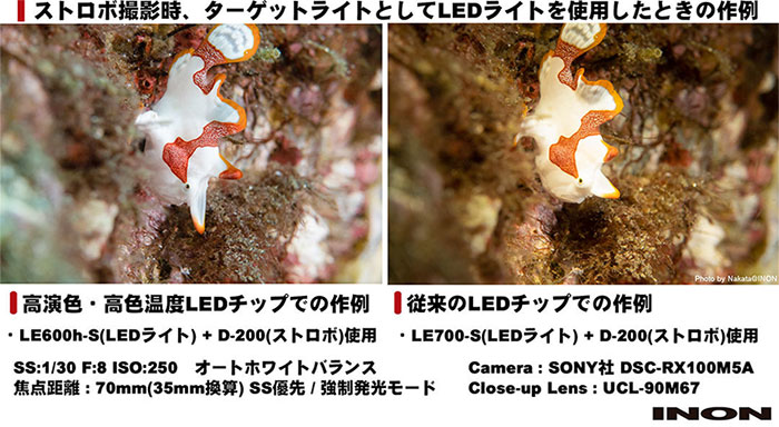 LE600h-S | 水中ライト,LEDライト | イノンオンラインショップ