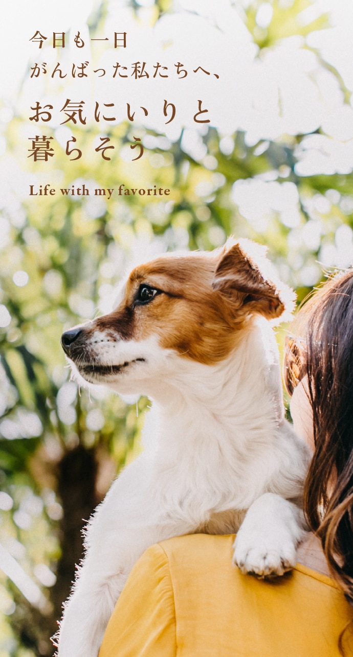 人と犬猫のかけがえのない絆NicoWan ｜にこわん・ニコワン｜ペット