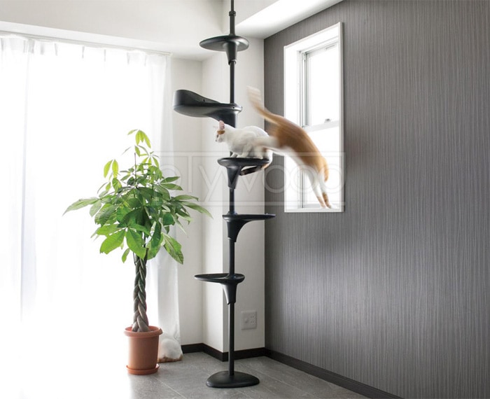 オッポ キャットフォレスト2 OPPO CatForest2 OT-669-702 | 送料無料