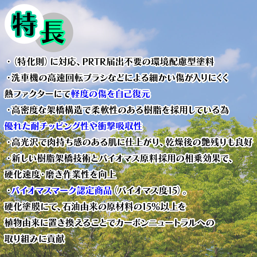 エコロック アンチスクラッチクリヤーBP 1kgセット/ロックペイント