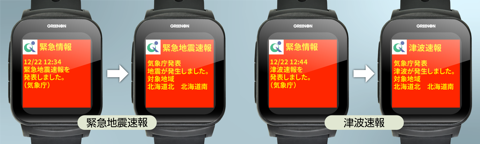 ラウンド用品・アクセサリー THE GOLF WATCH GS501 THE GOLF WATCH