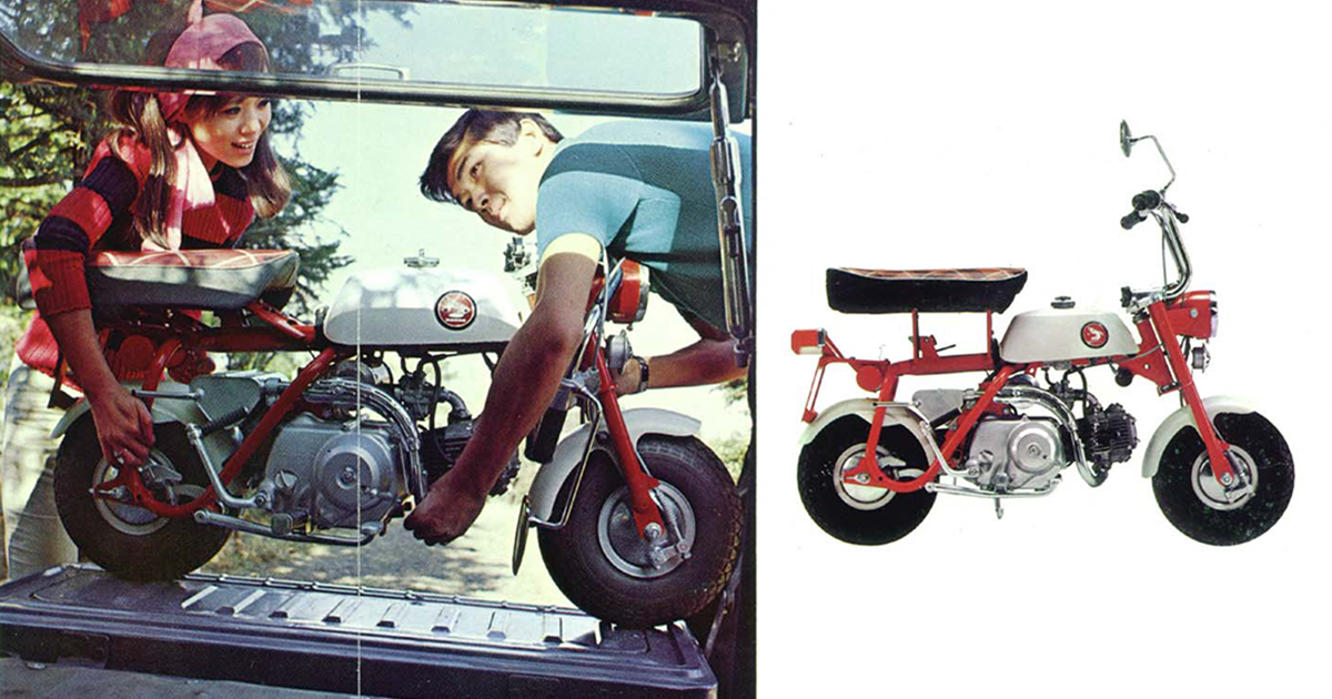 The First Retail Monkey in Japan｜Monkey Stories｜HISTORY｜Monkey