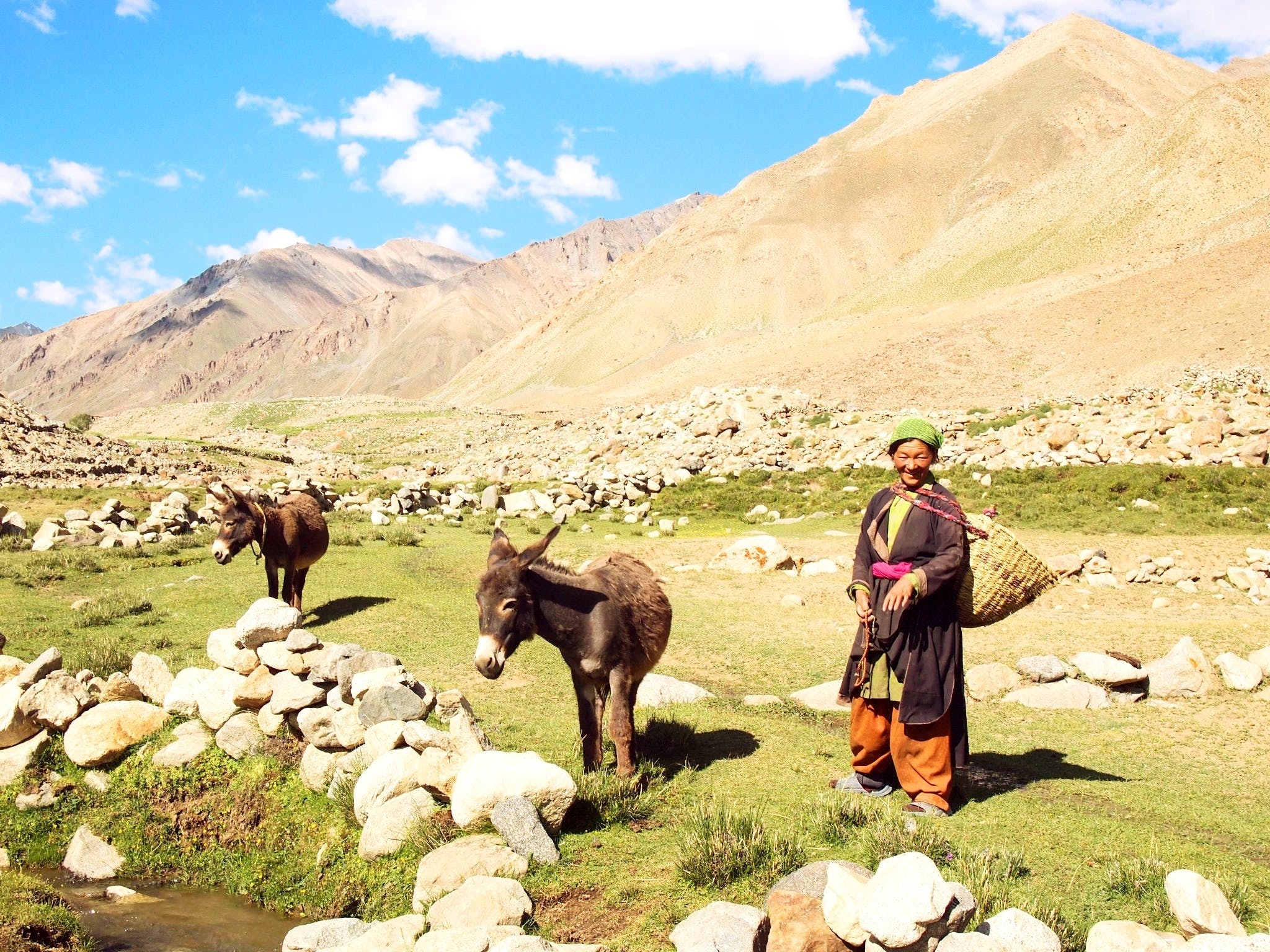 私たちがほしいのは、懐かしくて開かれた未来。ラダックの女性が作った