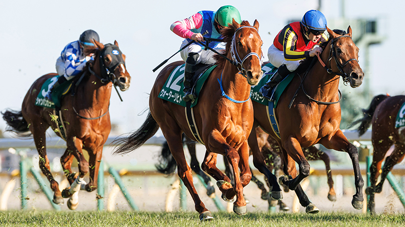 秋華賞】狙うべきは桜花賞馬か、オークス馬か 直接対決は互角も好走率