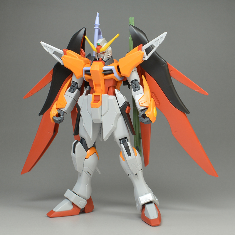 HGCE デスティニーガンダム (ハイネ専用) HGCE デスティニーガンダム
