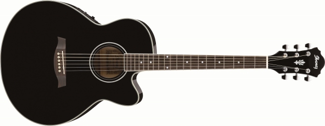 エレアコギター】IbanezよりAEL シリーズ 2013 年モデル発売