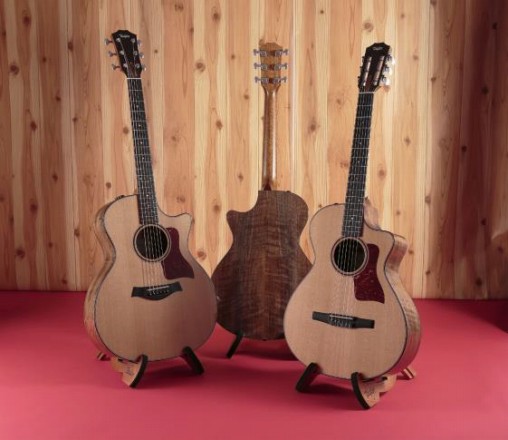 Charvel エレアコアコースティックギター希少レアミニギター