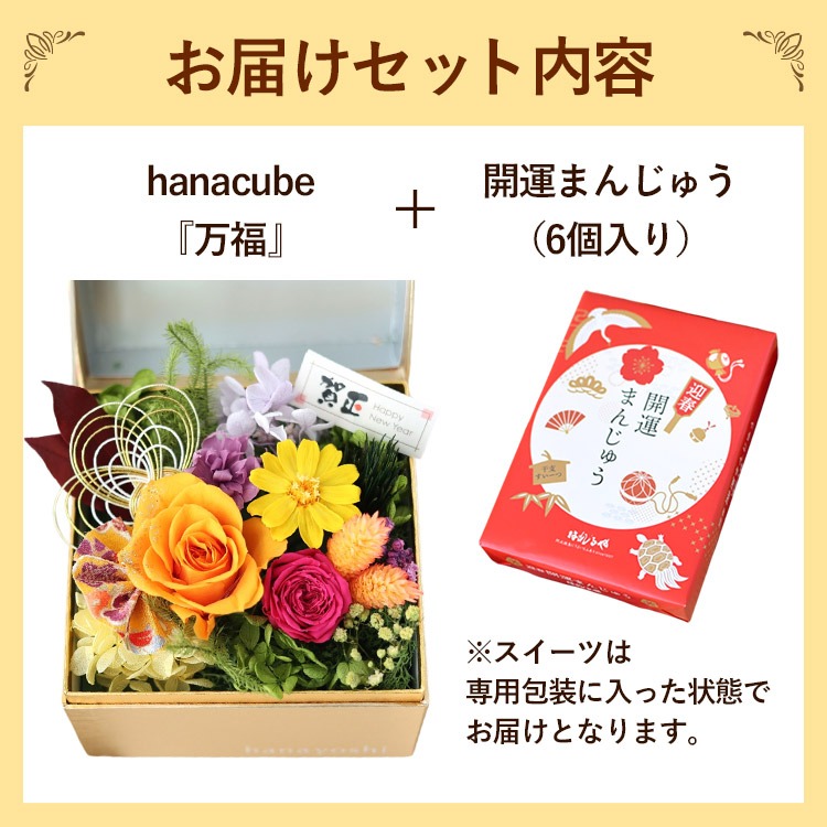パイロゲン900ml ×6本入×2箱 箱未開封 フラワープレゼント応募券入
