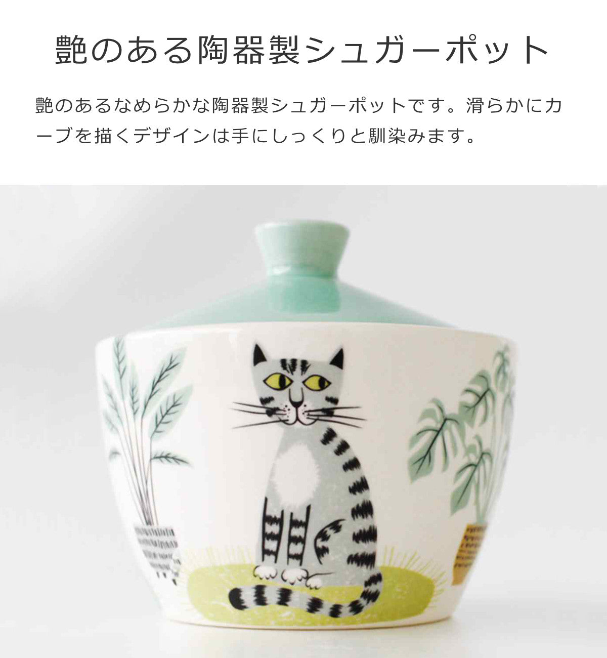 シュガーポット（Sugar Pot）