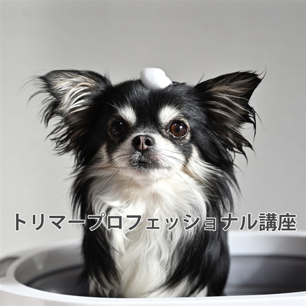 トリマープロフェッショナル講座|通信教育講座で資格なら「ヒューマン