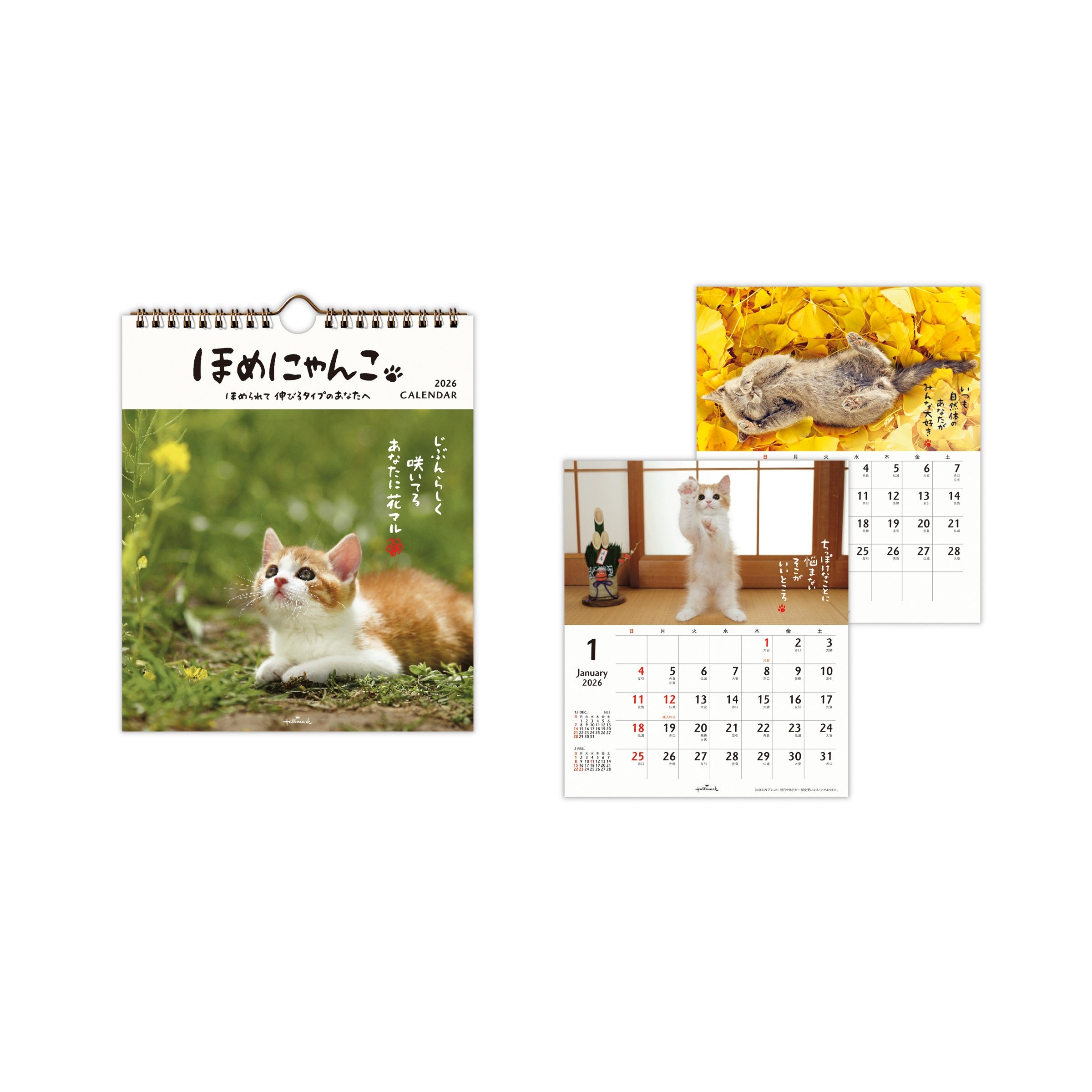 あ*み様 【ねこツーカレンダー】2026年度 楽天市場】ネコ様の裏側