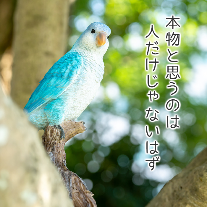木に留まって休むインコ《 オキナインコ（23.5cm）》 – ガーデン用