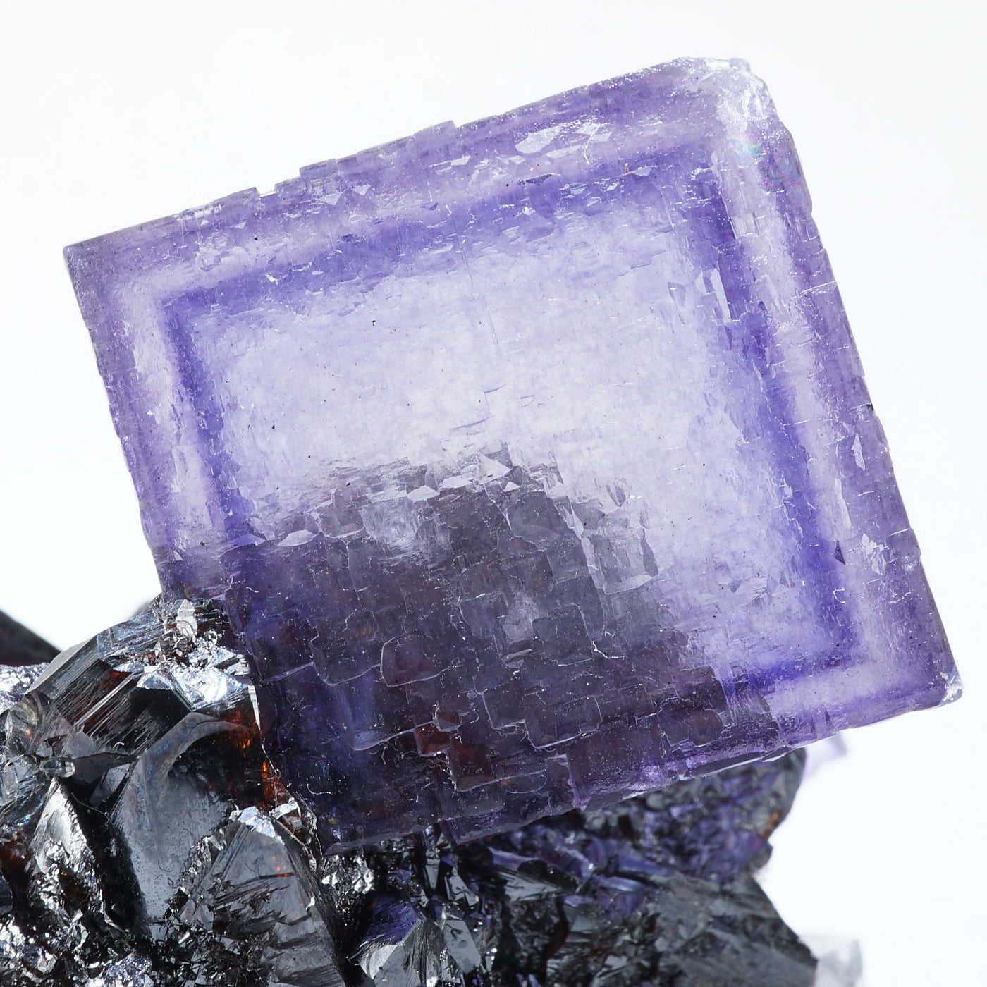 テネシー州 エルムウッド鉱山産 フローライト・スファレライト