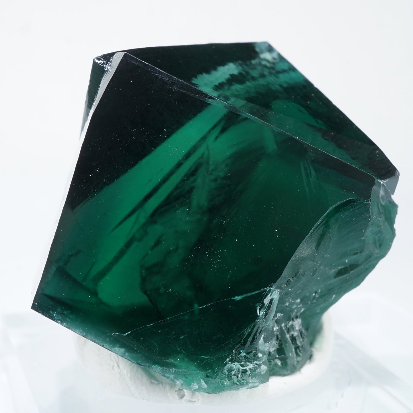 Diana Maria Smoky Rabbit Pocket フローライト Diana Maria Smoky